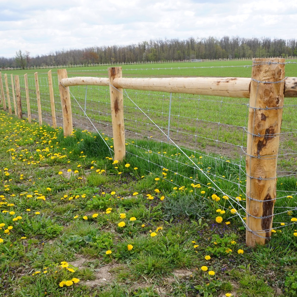 Pineview Cedar Products Cedar Lumber, Cedar Posts, & Farm Fencing